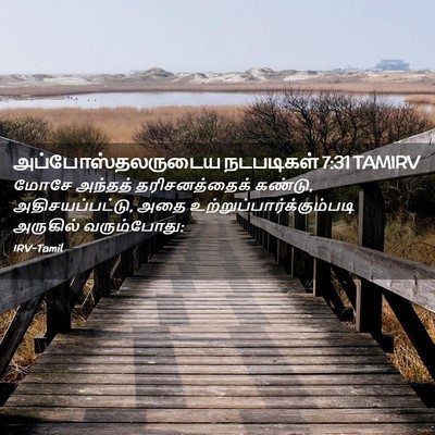 Picture 02 - அப்போஸ்தலருடைய நடபடிகள் 7:31 TAMIRV - மோசே அந்தத் - Bible Verse Picture
