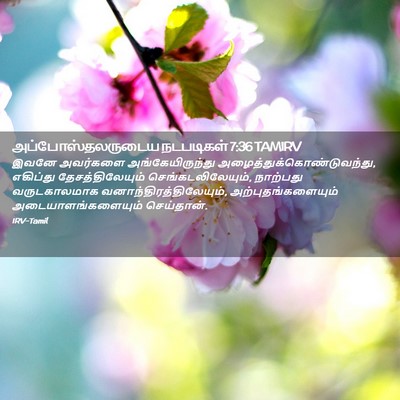 Picture 02 - அப்போஸ்தலருடைய நடபடிகள் 7:36 TAMIRV - இவனே அவர்களை - Bible Verse Picture