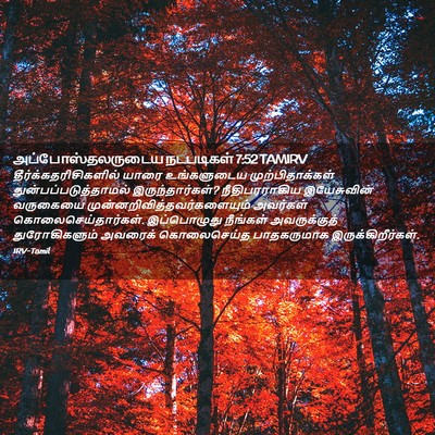 Picture 02 - அப்போஸ்தலருடைய நடபடிகள் 7:52 TAMIRV -  - Bible Verse Picture