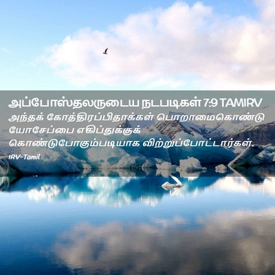 Picture 02 - அப்போஸ்தலருடைய நடபடிகள் 7:9 TAMIRV - அந்தக் - Bible Verse Picture