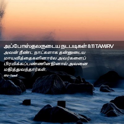 Picture 02 - அப்போஸ்தலருடைய நடபடிகள் 8:11 TAMIRV - அவன் நீண்ட - Bible Verse Picture
