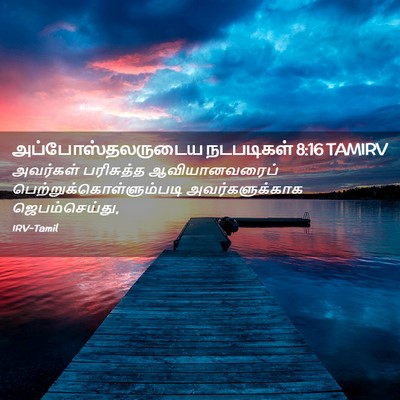 Picture 02 - அப்போஸ்தலருடைய நடபடிகள் 8:16 TAMIRV - அவர்கள் பரிசுத்த - Bible Verse Picture