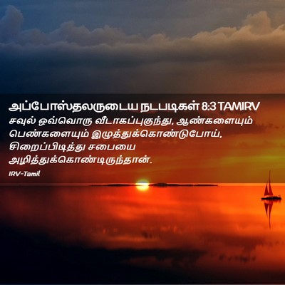 Picture 02 - அப்போஸ்தலருடைய நடபடிகள் 8:3 TAMIRV - சவுல் ஒவ்வொரு - Bible Verse Picture