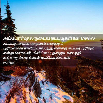 Picture 02 - அப்போஸ்தலருடைய நடபடிகள் 8:31 TAMIRV - அதற்கு அவன்: - Bible Verse Picture