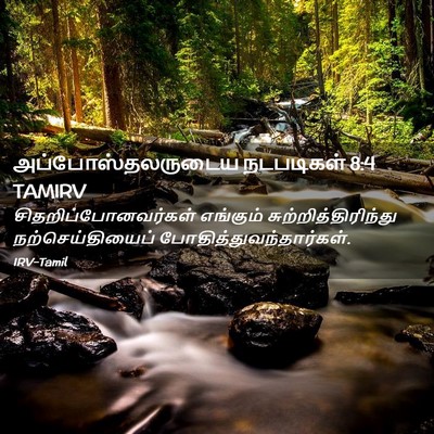 Picture 02 - அப்போஸ்தலருடைய நடபடிகள் 8:4 TAMIRV - சிதறிப்போனவர்கள் - Bible Verse Picture