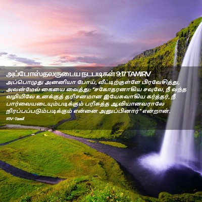 Picture 02 - அப்போஸ்தலருடைய நடபடிகள் 9:17 TAMIRV - அப்பொழுது அனனியா - Bible Verse Picture