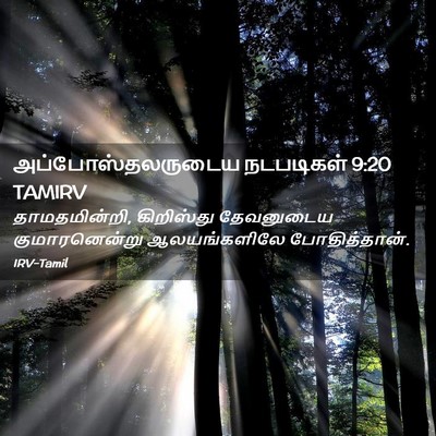 Picture 02 - அப்போஸ்தலருடைய நடபடிகள் 9:20 TAMIRV - தாமதமின்றி, - Bible Verse Picture