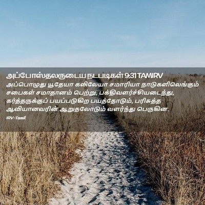 Picture 02 - அப்போஸ்தலருடைய நடபடிகள் 9:31 TAMIRV - அப்பொழுது யூதேயா - Bible Verse Picture