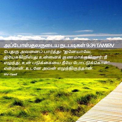 Picture 02 - அப்போஸ்தலருடைய நடபடிகள் 9:34 TAMIRV - பேதுரு அவனைப் - Bible Verse Picture