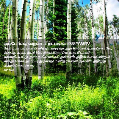 Picture 02 - அப்போஸ்தலருடைய நடபடிகள் 9:38 TAMIRV - யோப்பா பட்டணம் - Bible Verse Picture