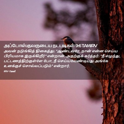 Picture 02 - அப்போஸ்தலருடைய நடபடிகள் 9:6 TAMIRV - அவன் நடுங்கித் - Bible Verse Picture