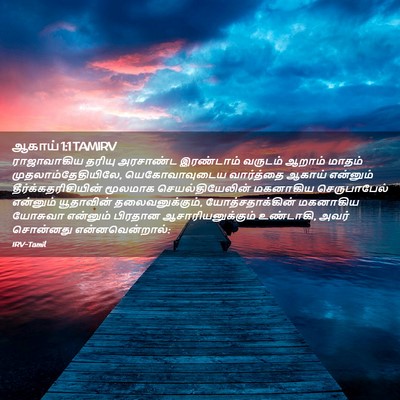 Picture 02 - ஆகாய் 1:1 TAMIRV - ராஜாவாகிய தரியு - Bible Verse Picture