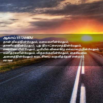 Picture 02 - ஆகாய் 1:11 TAMIRV - நான் - Bible Verse Picture