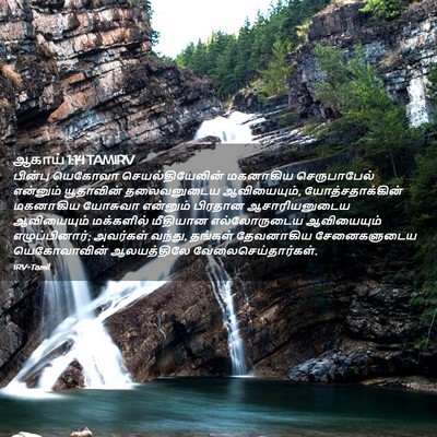 Picture 02 - ஆகாய் 1:14 TAMIRV - பின்பு யெகோவா - Bible Verse Picture