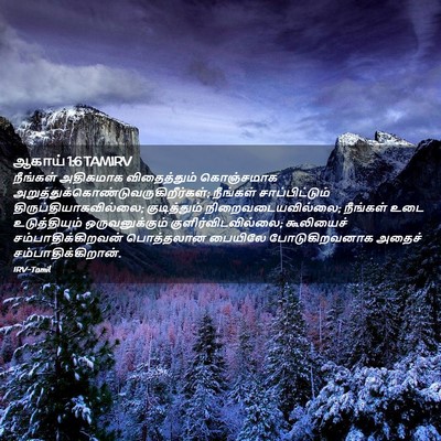 Picture 02 - ஆகாய் 1:6 TAMIRV - நீங்கள் அதிகமாக - Bible Verse Picture