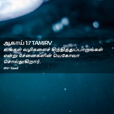 Picture 02 - ஆகாய் 1:7 TAMIRV - உங்கள் வழிகளைச் - Bible Verse Picture