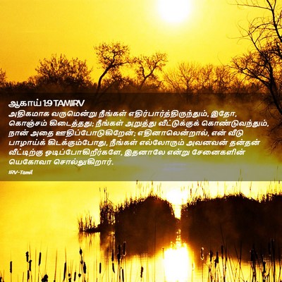 Picture 02 - ஆகாய் 1:9 TAMIRV - அதிகமாக வருமென்று - Bible Verse Picture