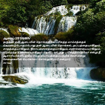 Picture 02 - ஆகாய் 2:11 TAMIRV - ஒருவன் தன் - Bible Verse Picture