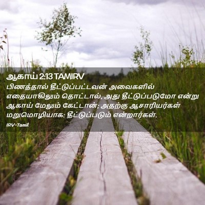 Picture 02 - ஆகாய் 2:13 TAMIRV - பிணத்தால் - Bible Verse Picture