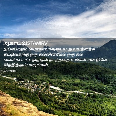 Picture 02 - ஆகாய் 2:15 TAMIRV - இப்போதும் - Bible Verse Picture