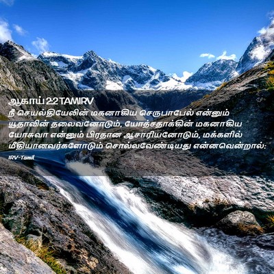 Picture 02 - ஆகாய் 2:2 TAMIRV - நீ செயல்தியேலின் - Bible Verse Picture