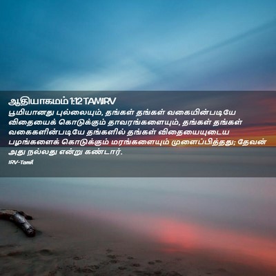 Picture 02 - ஆதியாகமம் 1:12 TAMIRV - பூமியானது - Bible Verse Picture