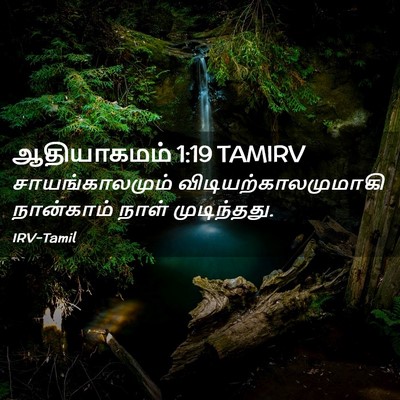 Picture 02 - ஆதியாகமம் 1:19 TAMIRV - சாயங்காலமும் - Bible Verse Picture