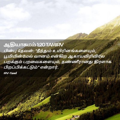 Picture 02 - ஆதியாகமம் 1:20 TAMIRV - பின்பு தேவன்: - Bible Verse Picture