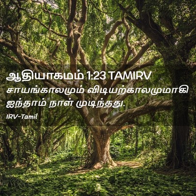 Picture 02 - ஆதியாகமம் 1:23 TAMIRV - சாயங்காலமும் - Bible Verse Picture