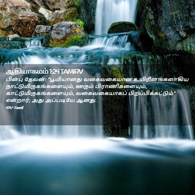 Picture 02 - ஆதியாகமம் 1:24 TAMIRV - பின்பு தேவன்: - Bible Verse Picture