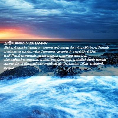 Picture 02 - ஆதியாகமம் 1:26 TAMIRV - பின்பு தேவன்: - Bible Verse Picture