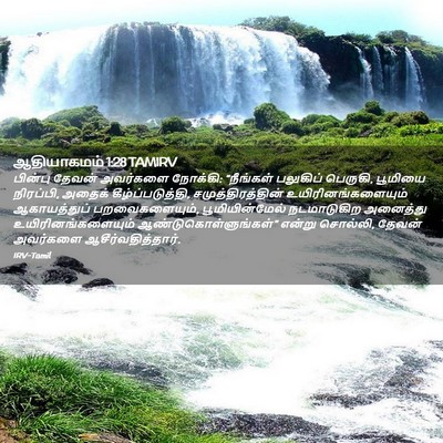 Picture 02 - ஆதியாகமம் 1:28 TAMIRV - பின்பு தேவன் - Bible Verse Picture
