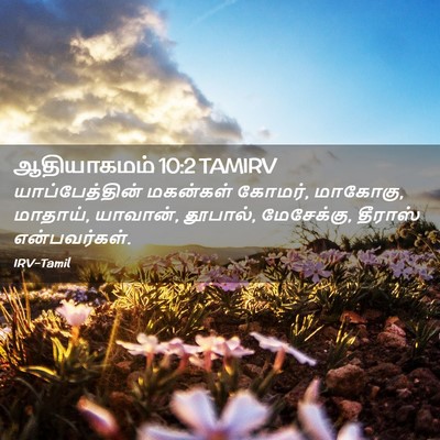 Picture 02 - ஆதியாகமம் 10:2 TAMIRV - யாப்பேத்தின் - Bible Verse Picture
