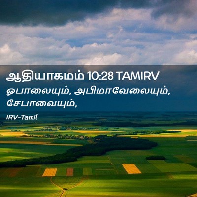 Picture 02 - ஆதியாகமம் 10:28 TAMIRV - ஓபாலையும், - Bible Verse Picture