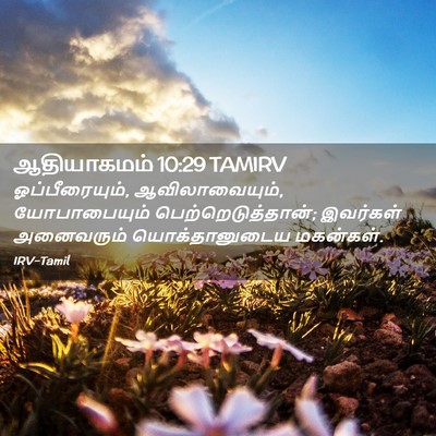 Picture 02 - ஆதியாகமம் 10:29 TAMIRV - ஓப்பீரையும், - Bible Verse Picture