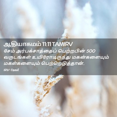 Picture 02 - ஆதியாகமம் 11:11 TAMIRV - சேம் - Bible Verse Picture