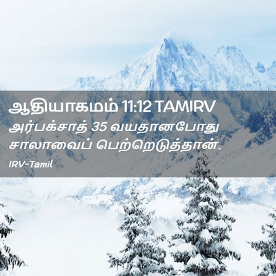 Picture 02 - ஆதியாகமம் 11:12 TAMIRV - அர்பக்சாத் 35 - Bible Verse Picture