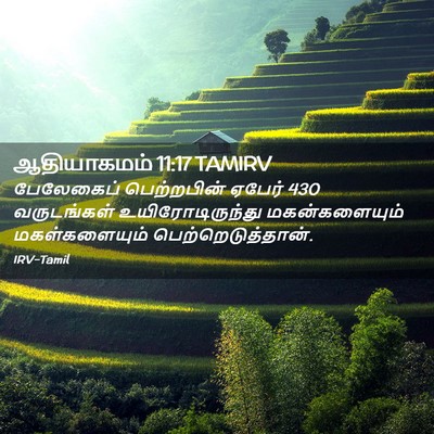 Picture 02 - ஆதியாகமம் 11:17 TAMIRV - பேலேகைப் - Bible Verse Picture