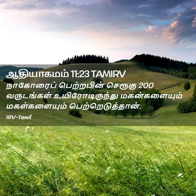 Picture 02 - ஆதியாகமம் 11:23 TAMIRV - நாகோரைப் - Bible Verse Picture