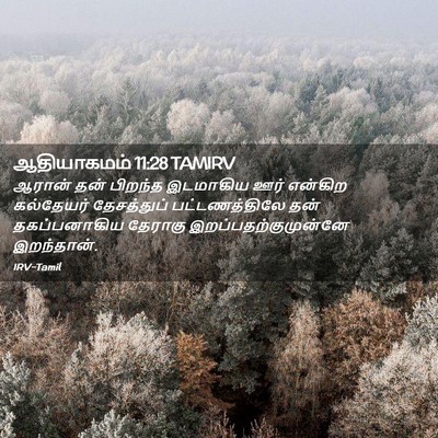 Picture 02 - ஆதியாகமம் 11:28 TAMIRV - ஆரான் தன் பிறந்த - Bible Verse Picture