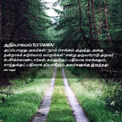 Picture 02 - ஆதியாகமம் 11:3 TAMIRV - அப்பொழுது - Bible Verse Picture