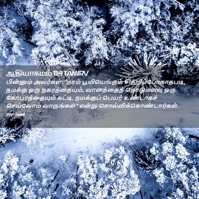 Picture 02 - ஆதியாகமம் 11:4 TAMIRV - பின்னும் அவர்கள்: - Bible Verse Picture