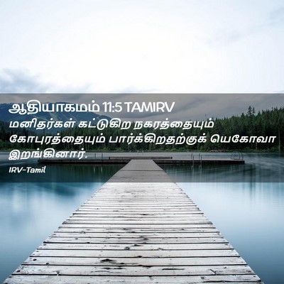 Picture 02 - ஆதியாகமம் 11:5 TAMIRV - மனிதர்கள் - Bible Verse Picture