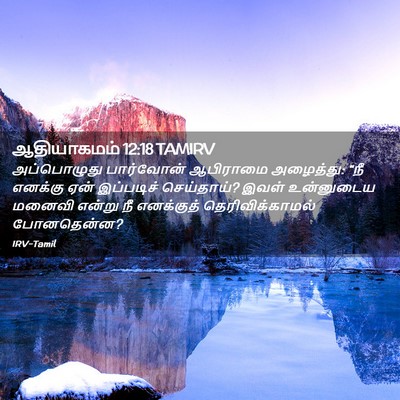 Picture 02 - ஆதியாகமம் 12:18 TAMIRV - அப்பொழுது - Bible Verse Picture