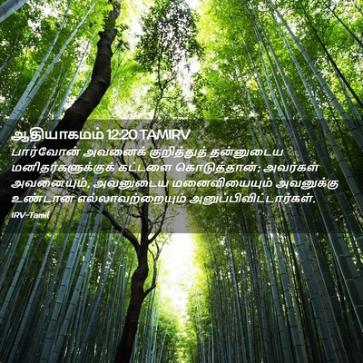 Picture 02 - ஆதியாகமம் 12:20 TAMIRV - பார்வோன் அவனைக் - Bible Verse Picture