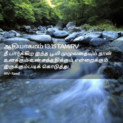 Picture 02 - ஆதியாகமம் 13:15 TAMIRV - நீ பார்க்கிற இந்த - Bible Verse Picture