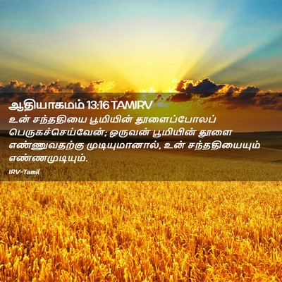 Picture 02 - ஆதியாகமம் 13:16 TAMIRV - உன் சந்ததியை - Bible Verse Picture