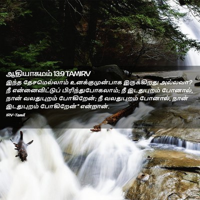 Picture 02 - ஆதியாகமம் 13:9 TAMIRV - இந்த தேசமெல்லாம் - Bible Verse Picture