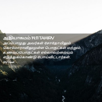 Picture 02 - ஆதியாகமம் 14:11 TAMIRV - அப்பொழுது அவர்கள் - Bible Verse Picture