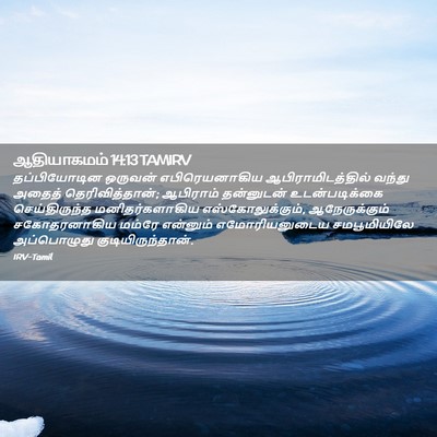 Picture 02 - ஆதியாகமம் 14:13 TAMIRV - தப்பியோடின ஒருவன் - Bible Verse Picture